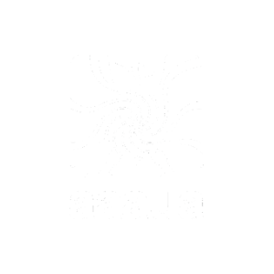 AAAUA